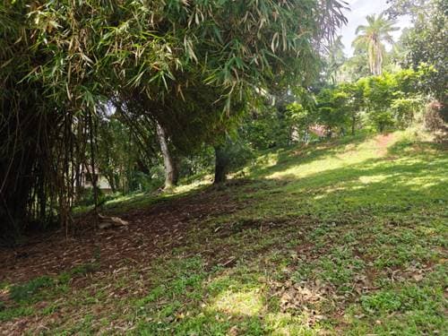 Land for Sale in kyuna